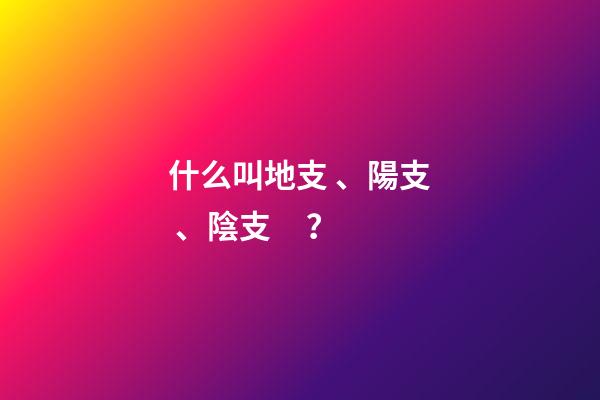 什么叫地支、陽支、陰支？
